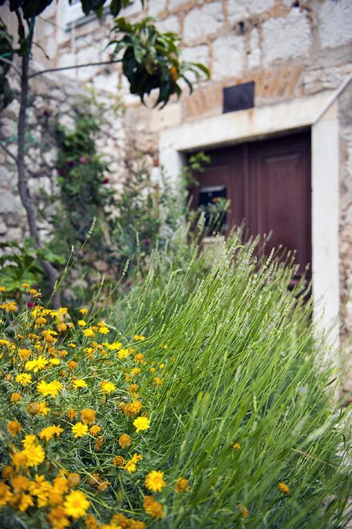 Dalmatian Garden - Free Parking - City Centre Šibenik Rum bild